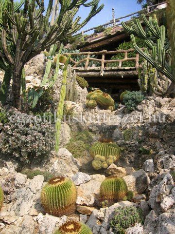 cote d azur monaco jardin exotic